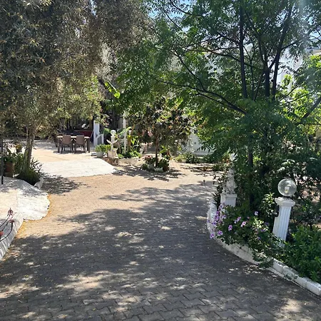 Ali Baba 2* غومْبيت