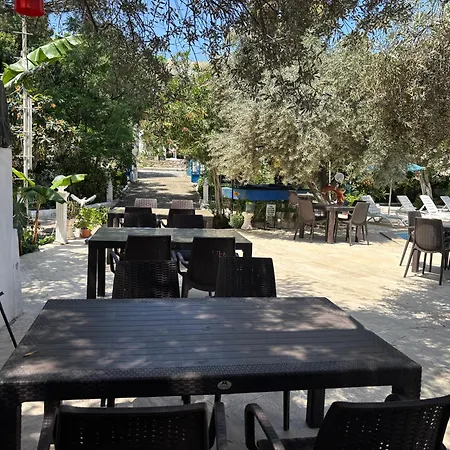 Hotell Ali Baba Gümbet