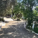 Ali Baba 2* 검벳