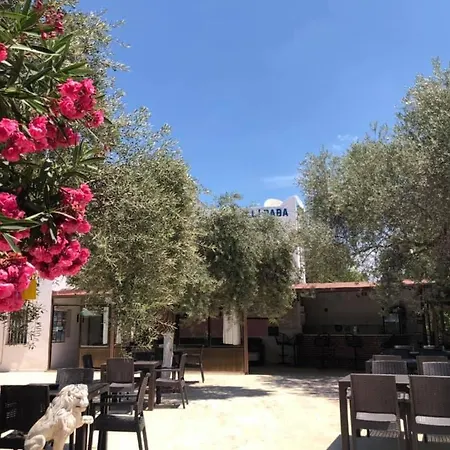 Ali Baba Otel Gümbet