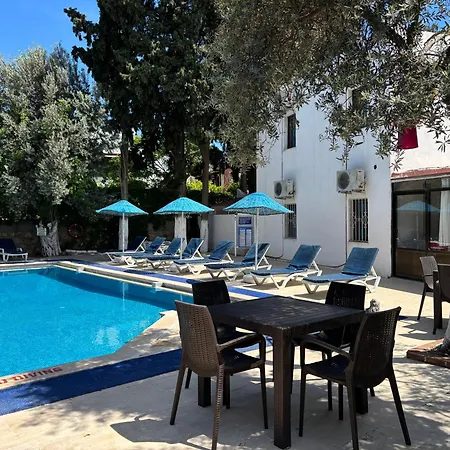 Ali Baba Отель 2*