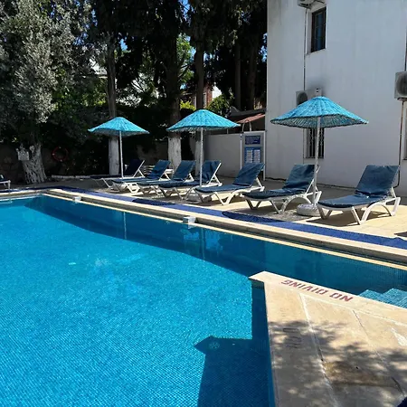 Отель Ali Baba 2*