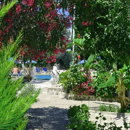Otel Ali Baba 2*