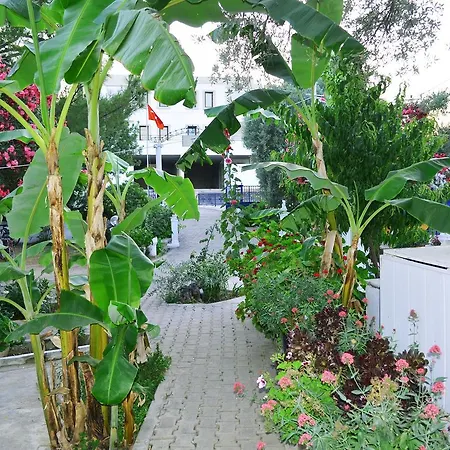 Ali Baba Otel