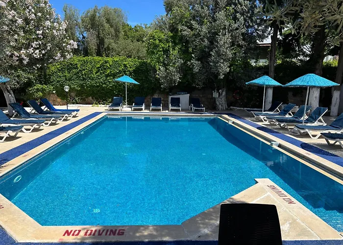 Ξενοδοχείο Ali Baba Gümbet